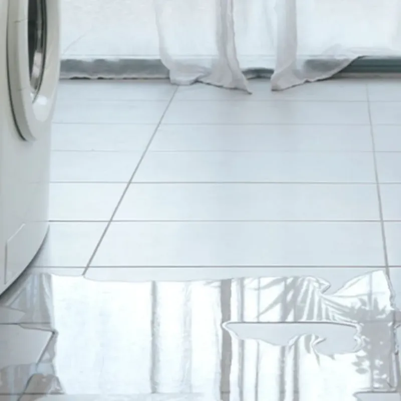 Appliance Leak Cleanup in Lake County, OR