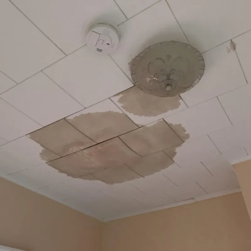 Ceiling Water Damage Repair in Lake County, OR
