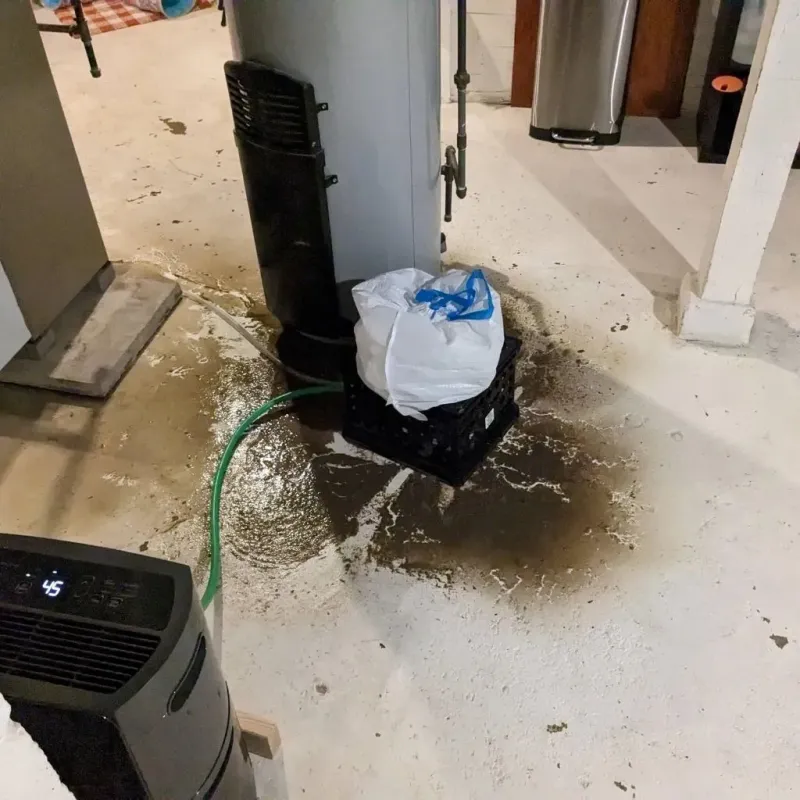 Sewage Backup Cleanup Service in Lake County, OR
